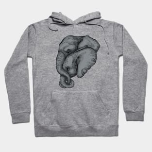 Nurturing Nature Hoodie